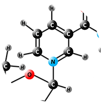 PS (Phospha-tidylserine)®